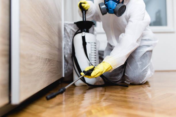 Best Flea Control Services  in Newark, OH