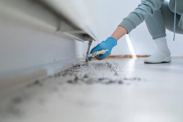 Best Pest Control Treatment  in Newark, OH