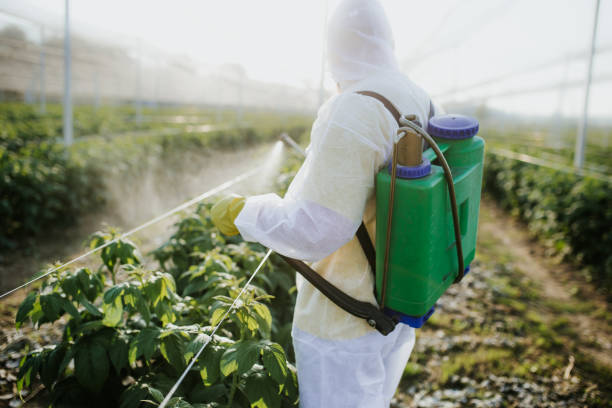 Wildlife Control Services in Newark, OH